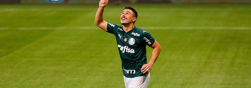 NAO USAR MAIS Palmeiras