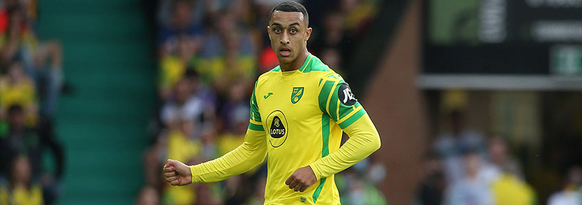 Palpite: Bristol City x Norwich – EFL Championship (2ª Divisão do Inglês) – Prognóstico 11/2/2023