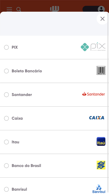 Opções de depósito BetWarrior: Pix, boleto bancário, Santander, Caixa, Itaú, Banco do Brasil, Banrisul, etc.