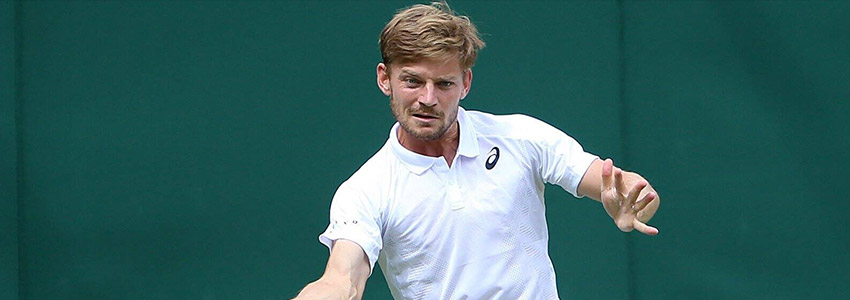 David Goffin