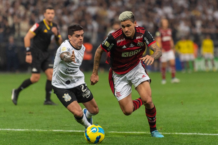 pedroefagner Pedro e Fágner
