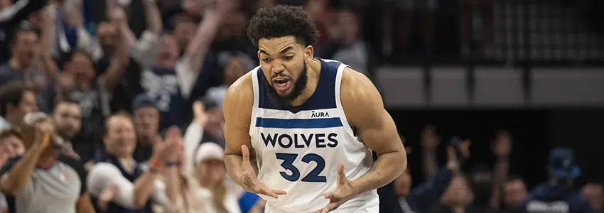 Minnesota Timberwolves 2022