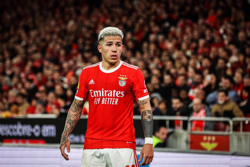 Enzo Fernández, do Benfica