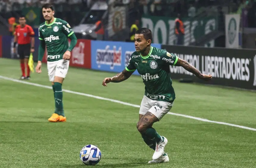 Dudu, do Palmeiras