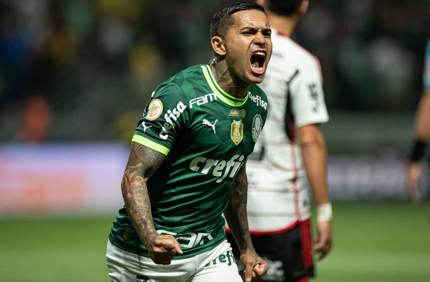 Dudu, do Palmeiras Dudu, do Palmeiras