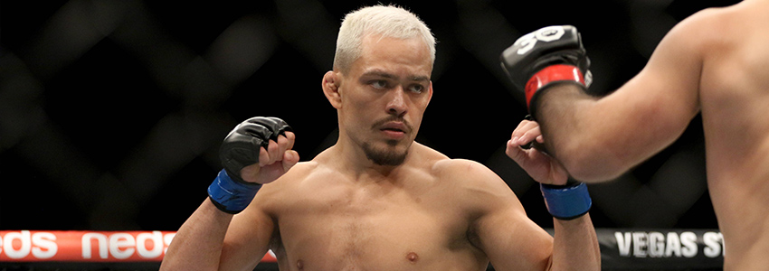Elves Brener (UFC) Elves Brener 2023
