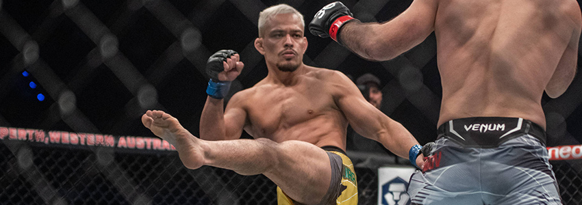 Elves Brenner (UFC) Elves Brenner
