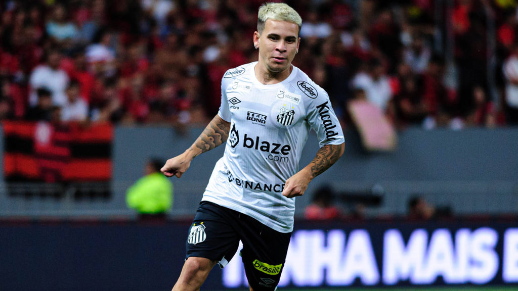 Palpite: Santos x Fluminense – Campeonato Brasileiro (Brasileirão) – 29/11/2023