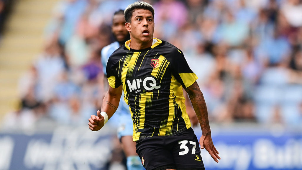 Palpite: Watford x Derby – EFL Championship (2ª Divisão do Inglês) – 24/08/2024