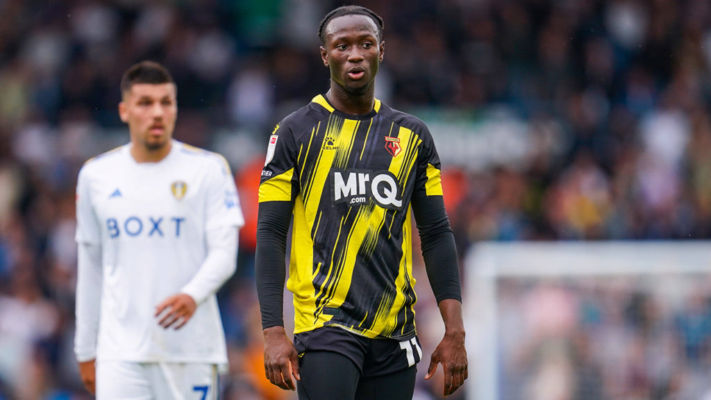 Palpite: Watford x Plymouth – Copa da Liga Inglesa (Carabao Cup) – 27/08/2024