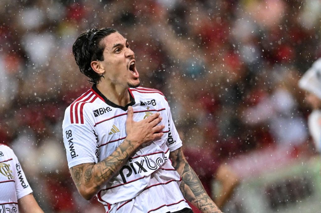 Pedro, do Flamengo, comemorando um gol pelo clube na temporada de 2024.