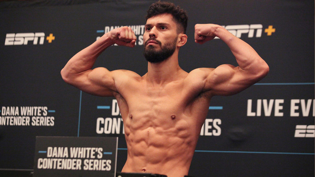 Palpite: Dennis Buzukja x Francis Marshall – UFC – 24/08/2024