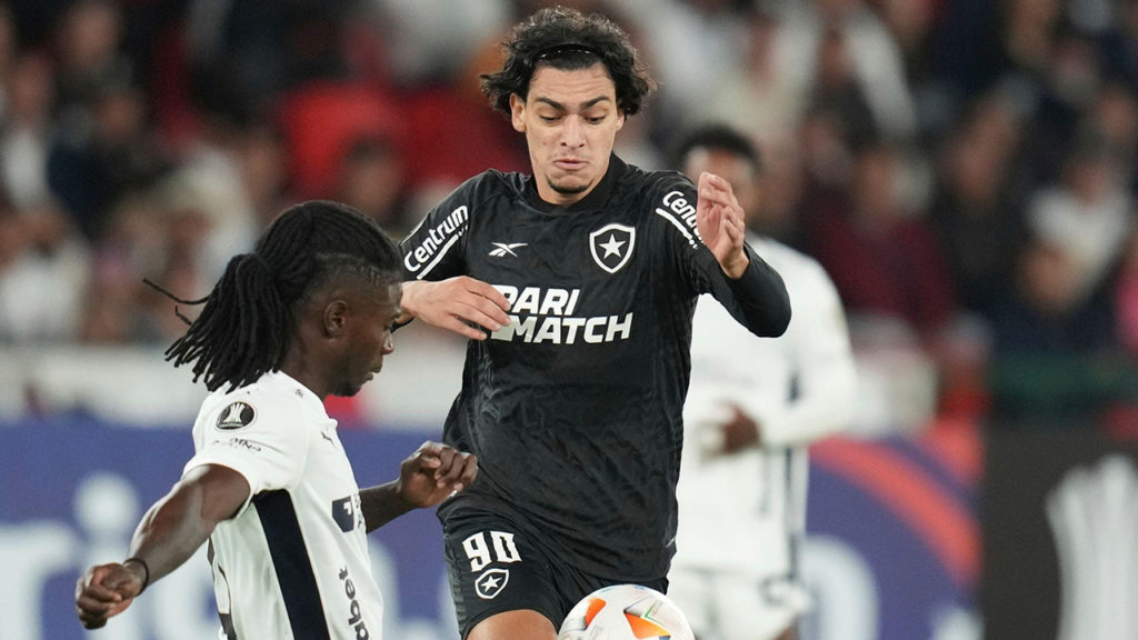 Botafogo x Portuguesa-RJ | Palpite | Campeonato Carioca | 14/01/2025