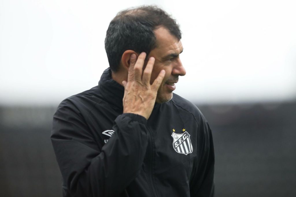 Carille-técnico-Santos-alamy2XXGB93 Treinador Fábio Carille no comando do Santos na Série B do Brasileiro