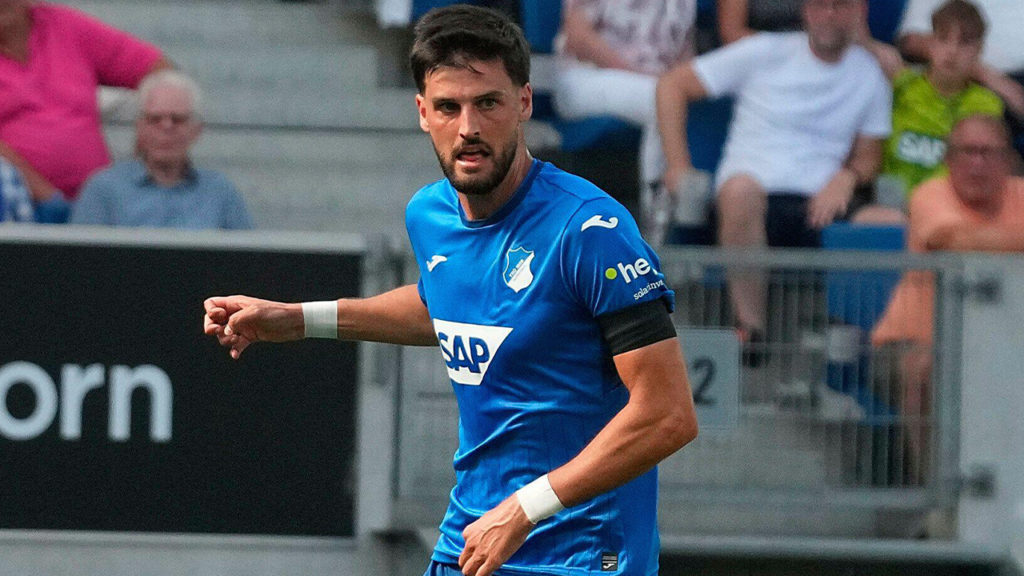 Florian Grillitsch (Hoffenheim) Hoffenheim