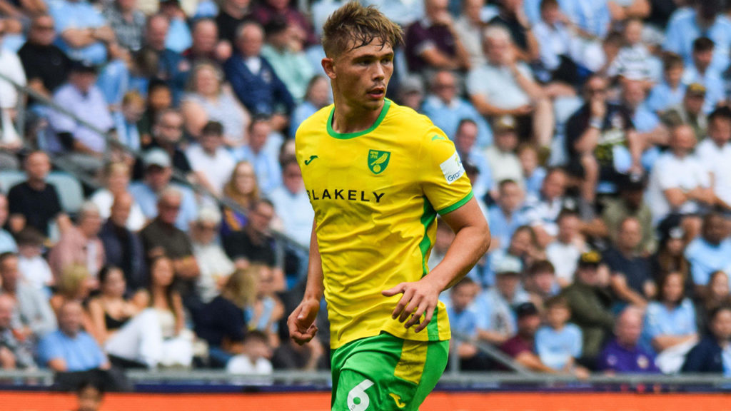 Sheffield Wednesday x Norwich | Palpite | Championship | 05/11/2024