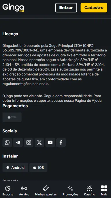 Dados da licença da Gingabet no rodapé do site.