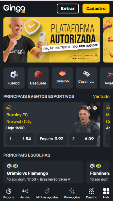 Plataforma de apsotas e cassino da Gingabet