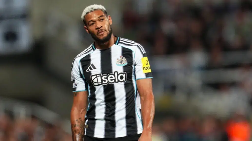 Palpite Newcastle x Fulham