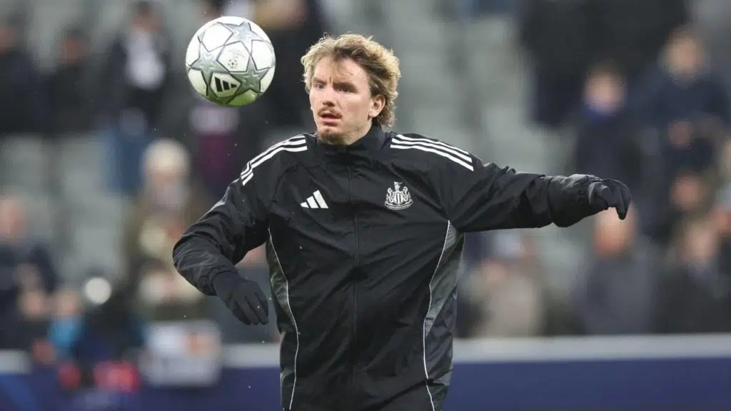 Palpite Tottenham x Newcastle