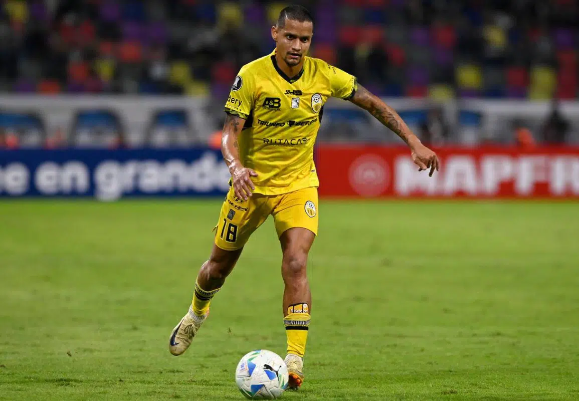 Palpite Táchira x The Strongest Palpite Deportivo Táchira x The Strongest – Pré-Libertadores – 10/02/2026