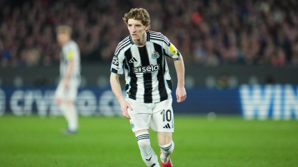 Anthony Gordon do Newcastle Palpite Newcastle x Sunderland