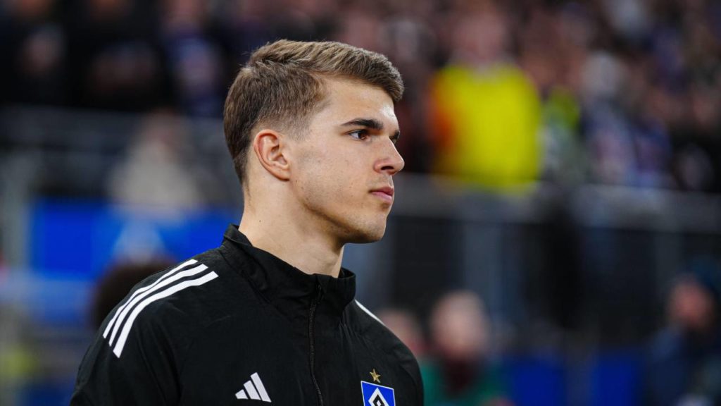 Palpite Wolfsburg x Hamburgo